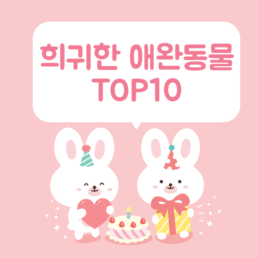 1.반려동물