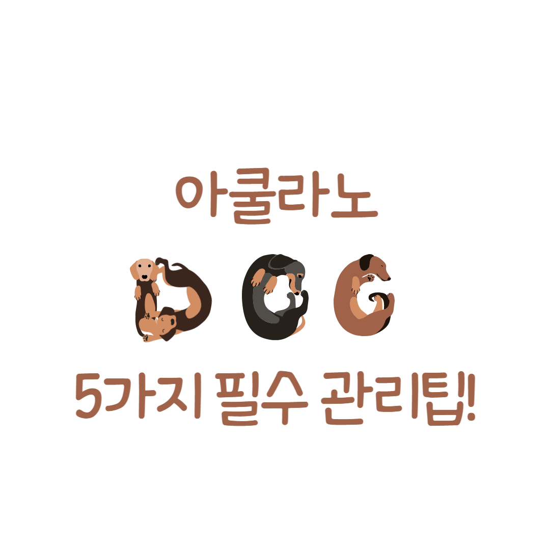 3.아쿨라노