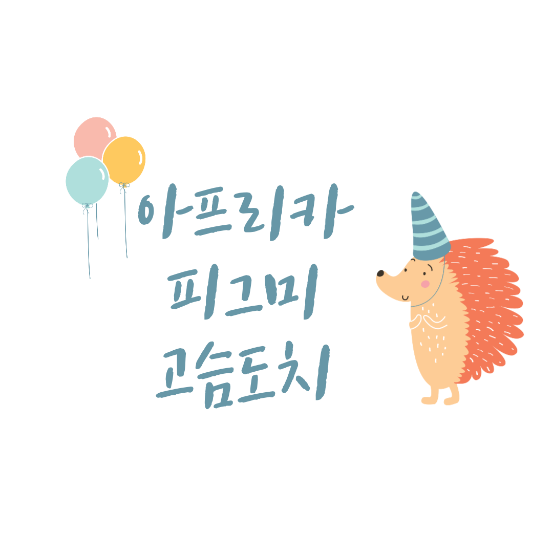 4.피그미고슴도치