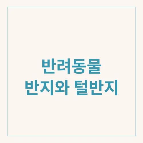 반려동물 반지와 털반지