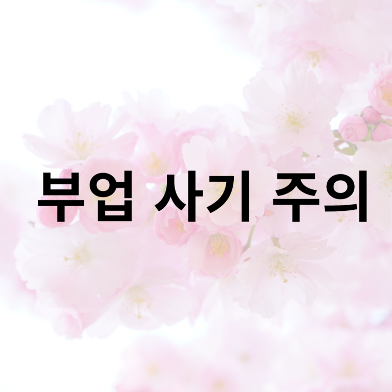 241016부업사기주의