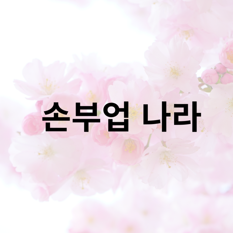 241016손부업나라