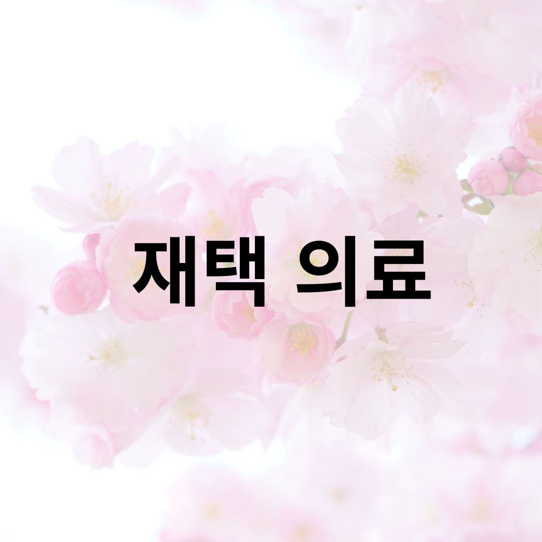 241016재택의료