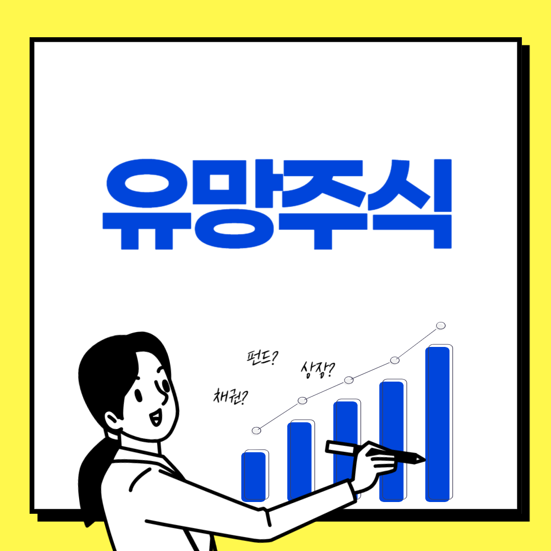 241017유망주식