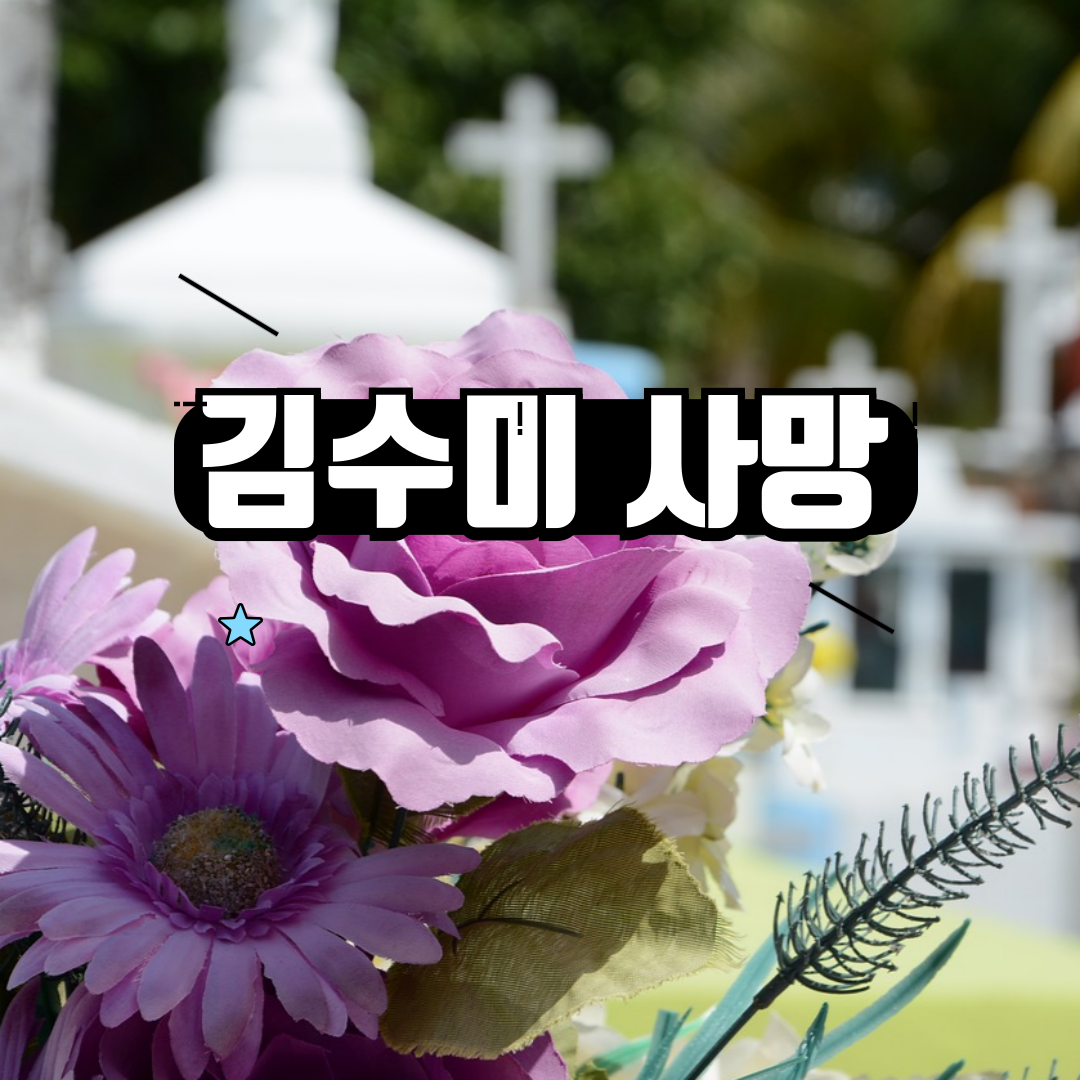 241027김수미썸blog