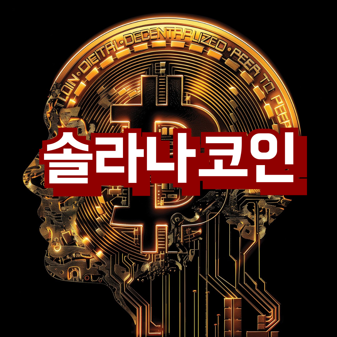 241029솔라나코인
