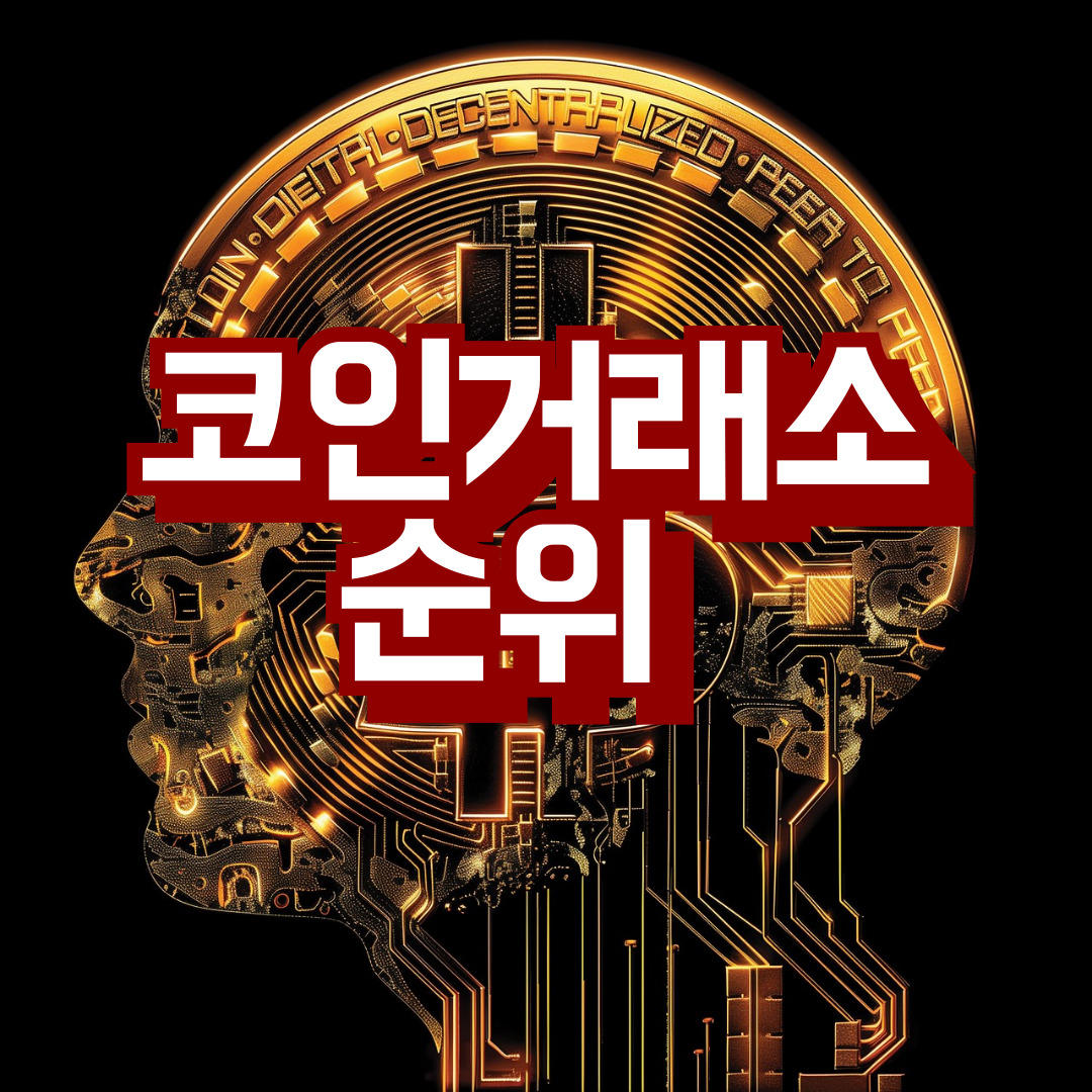 241029코인거래소순위