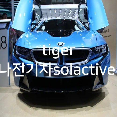 tiger 차이나전기차solactive 주가