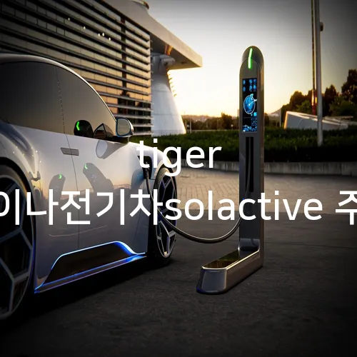 tiger 차이나전기차solactive 주가