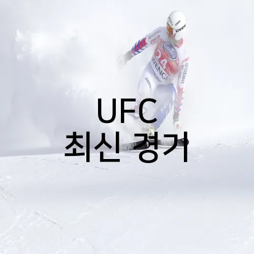 UFC 최신 경기