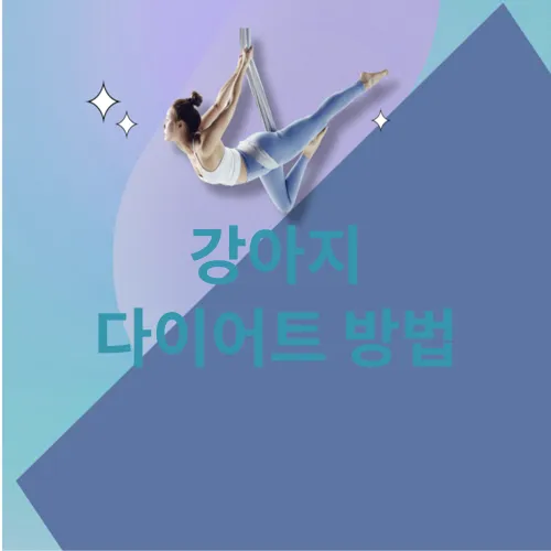 강아지 다이어트 방법