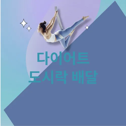 다이어트 도시락 배달