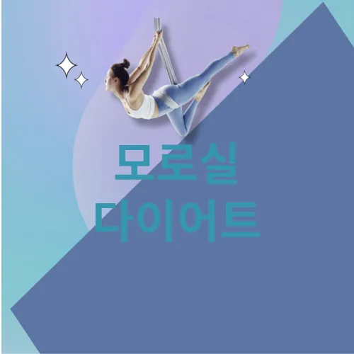 모로실 다이어트