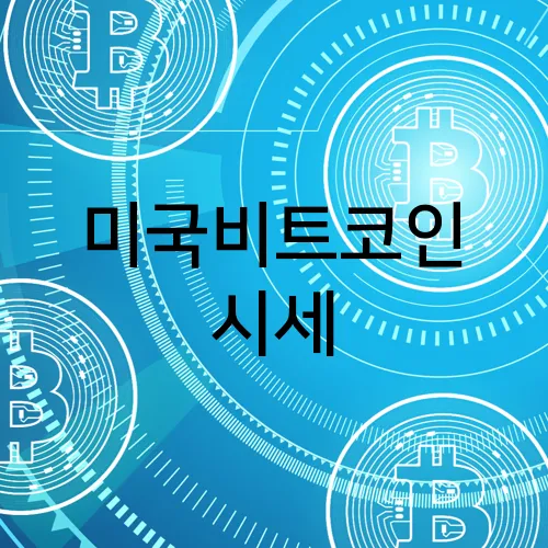 미국비트코인 시세