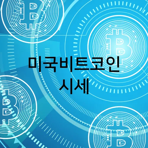 미국비트코인 시세