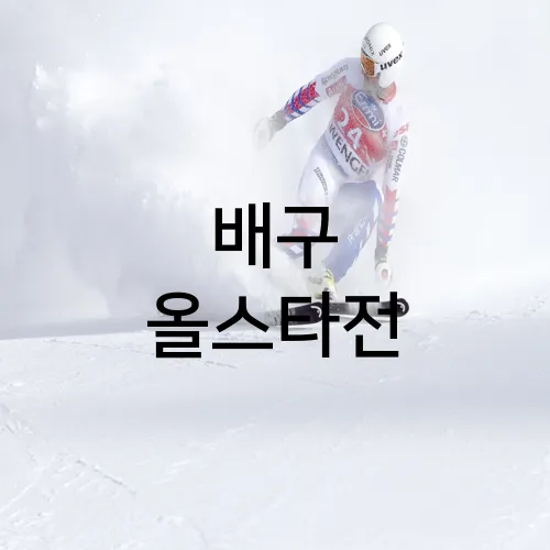 배구 올스타전