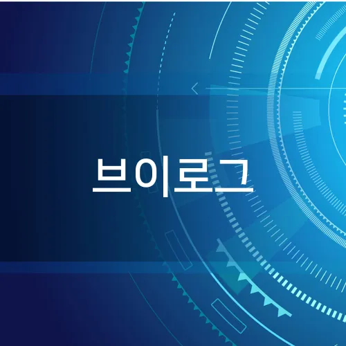 브이로그