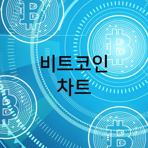 비트코인 차트