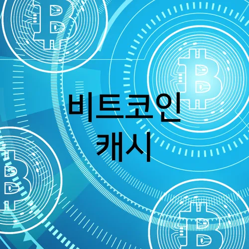 비트코인 캐시