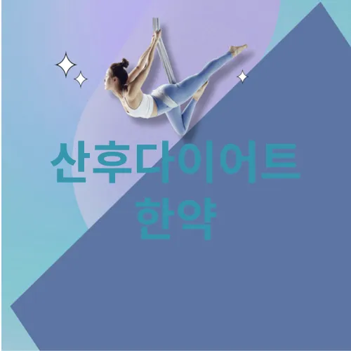 산후다이어트 한약