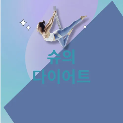 슈의 다이어트