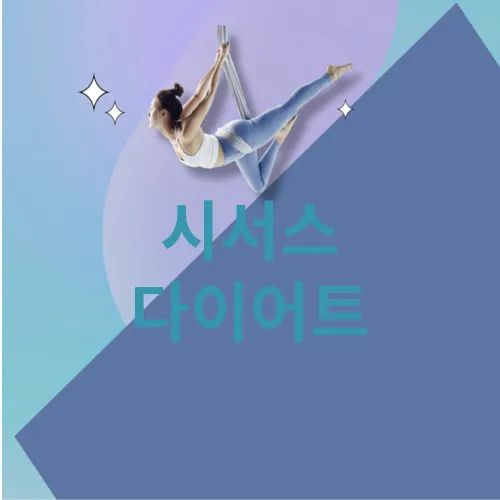 시서스 다이어트