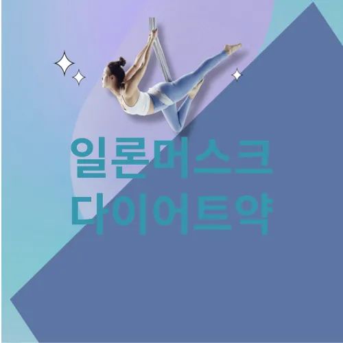 일론머스크 다이어트약