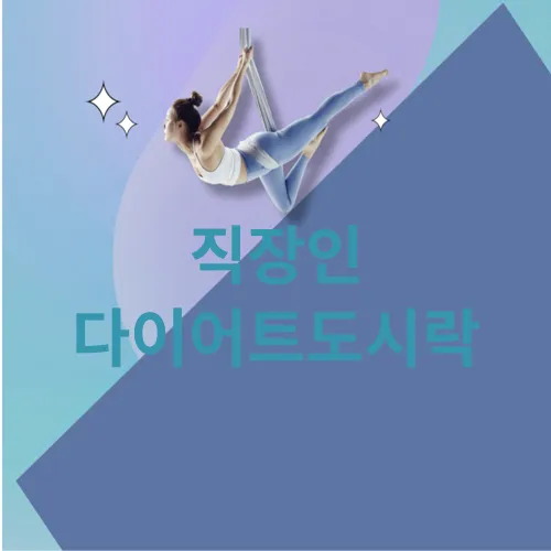 직장인 다이어트도시락