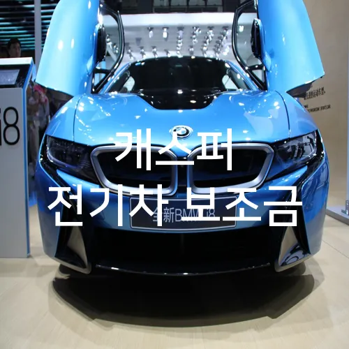 캐스퍼 전기차 보조금