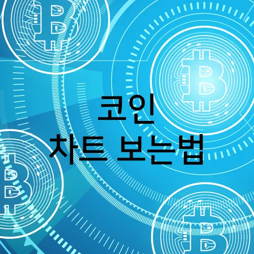 코인 차트 보는법