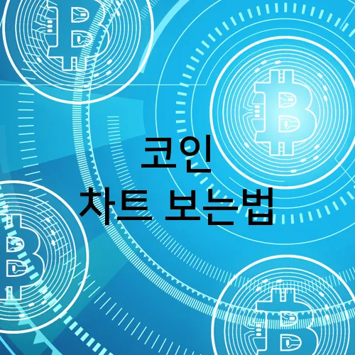 코인 차트 보는법