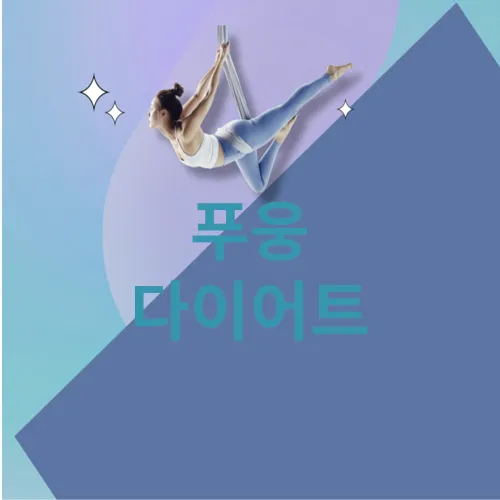 푸웅 다이어트