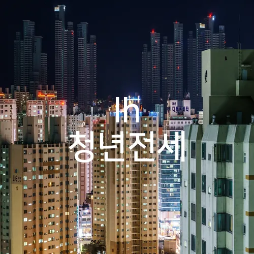 lh 청년전세