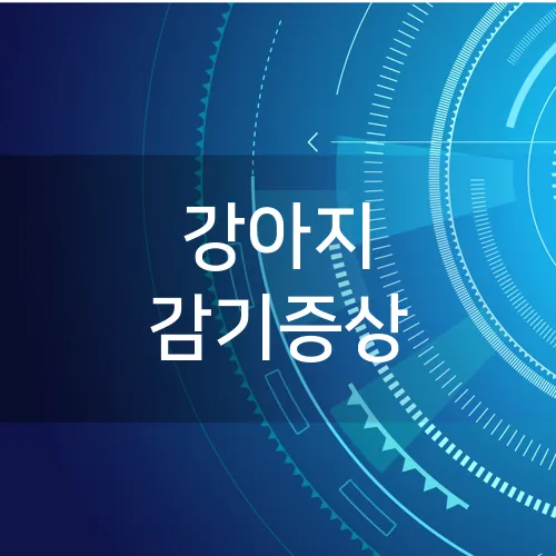 강아지 감기증상