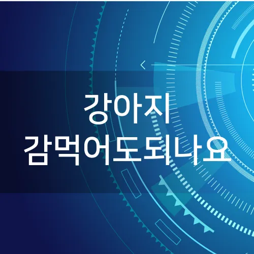 강아지 감먹어도되나요