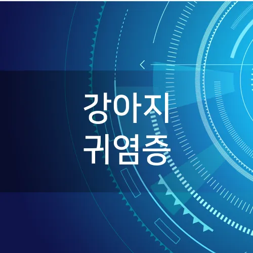 강아지 귀염증
