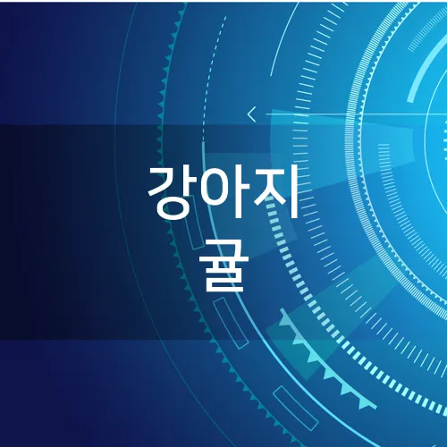 강아지 귤