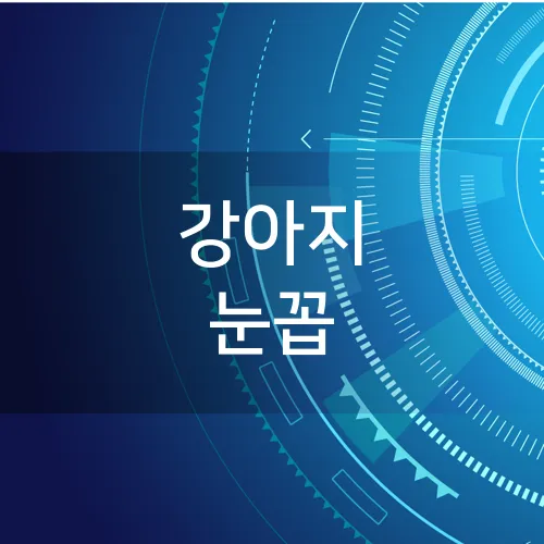 강아지 눈꼽