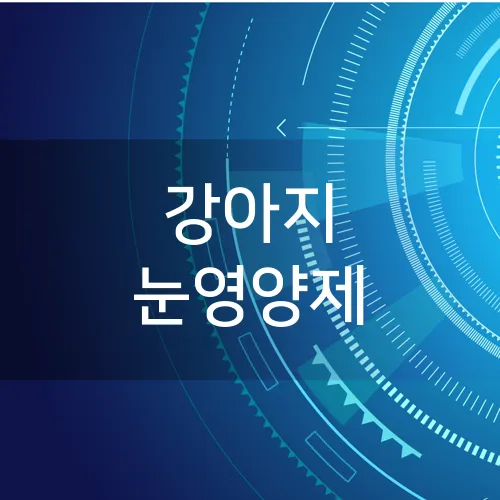 강아지 눈영양제