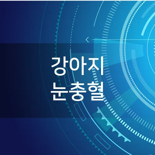 강아지 눈충혈