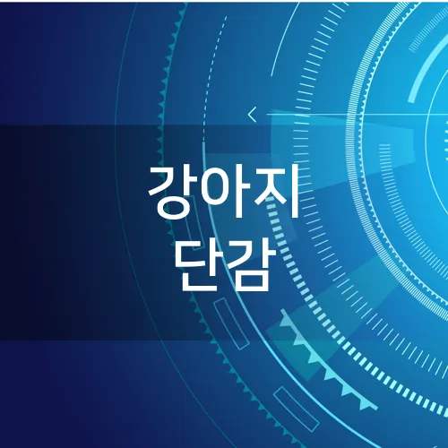 강아지 단감
