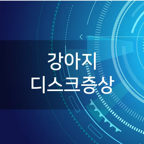 강아지 디스크증상