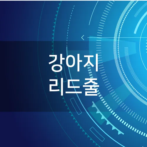 강아지 리드줄
