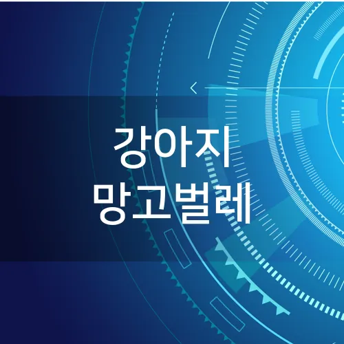 강아지 망고벌레