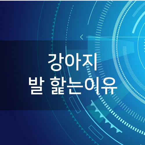 강아지 발 핥는이유