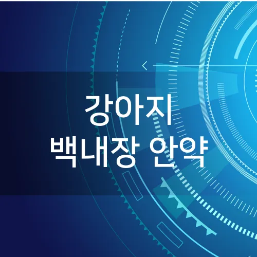 강아지 백내장 안약
