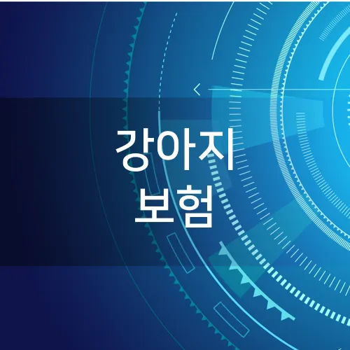 강아지 보험