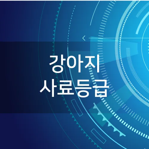 강아지 사료등급