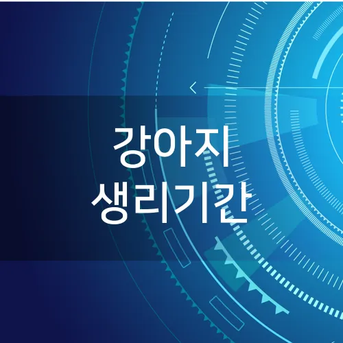 강아지 생리기간
