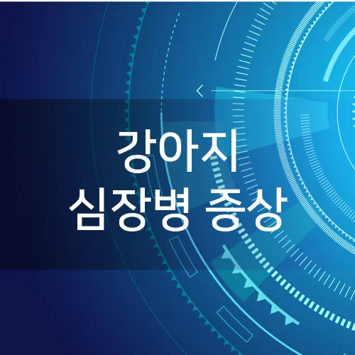 강아지 심장병 증상